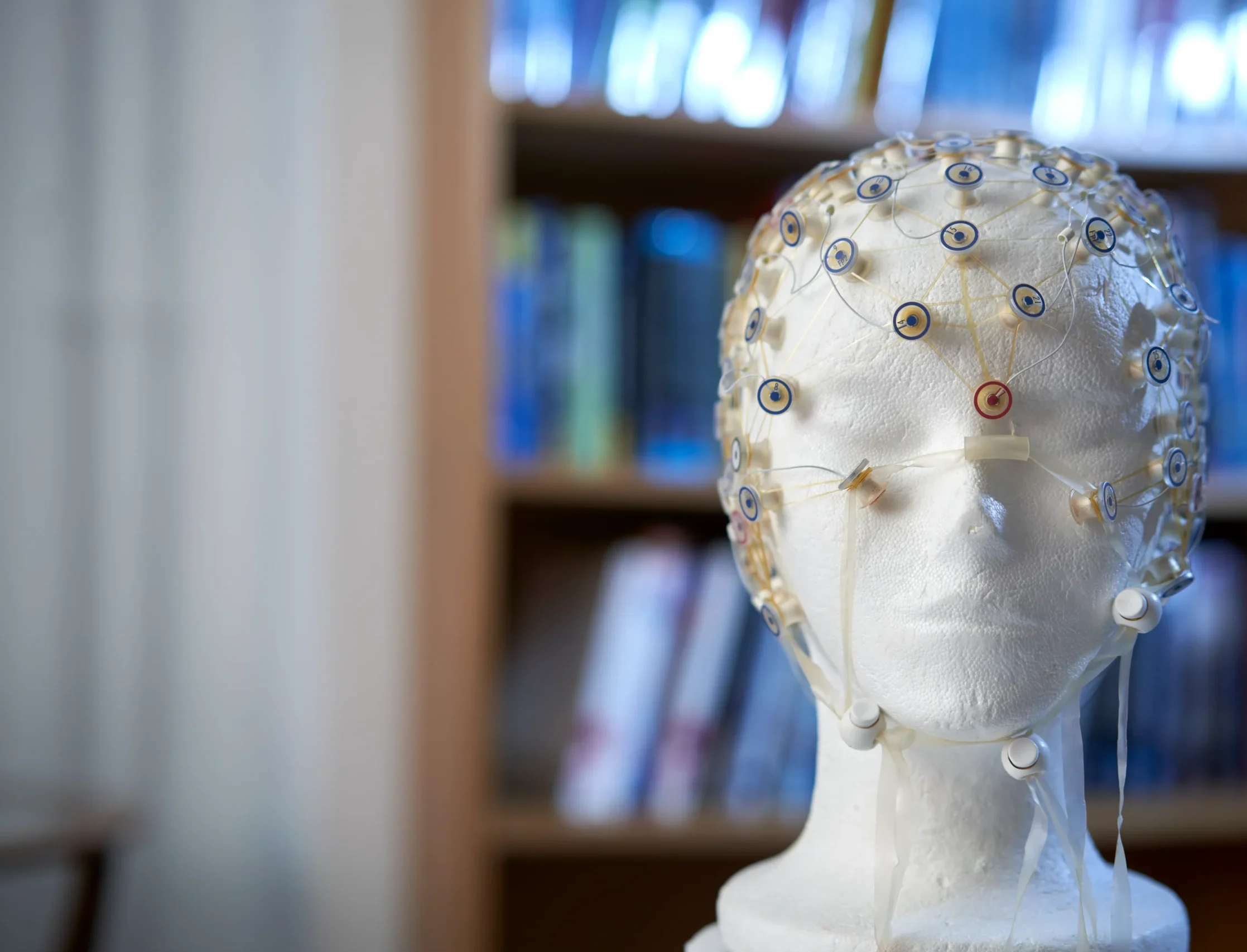 Pscychology MSc Aston Online - polystyrene head with Electroencephalography (EEG)